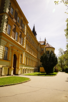 Olivova léčebna.